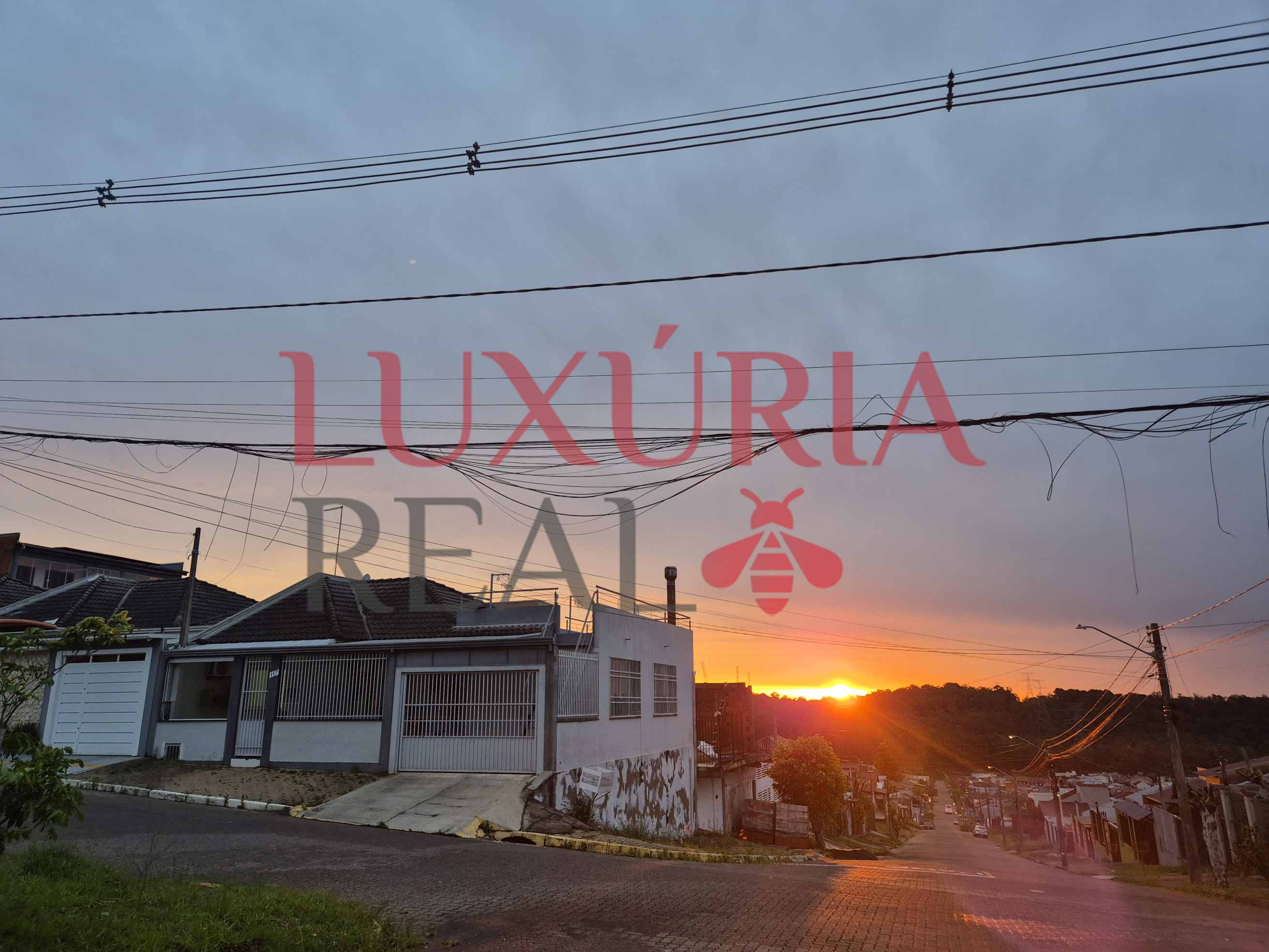 TesteHomolog6 Independente